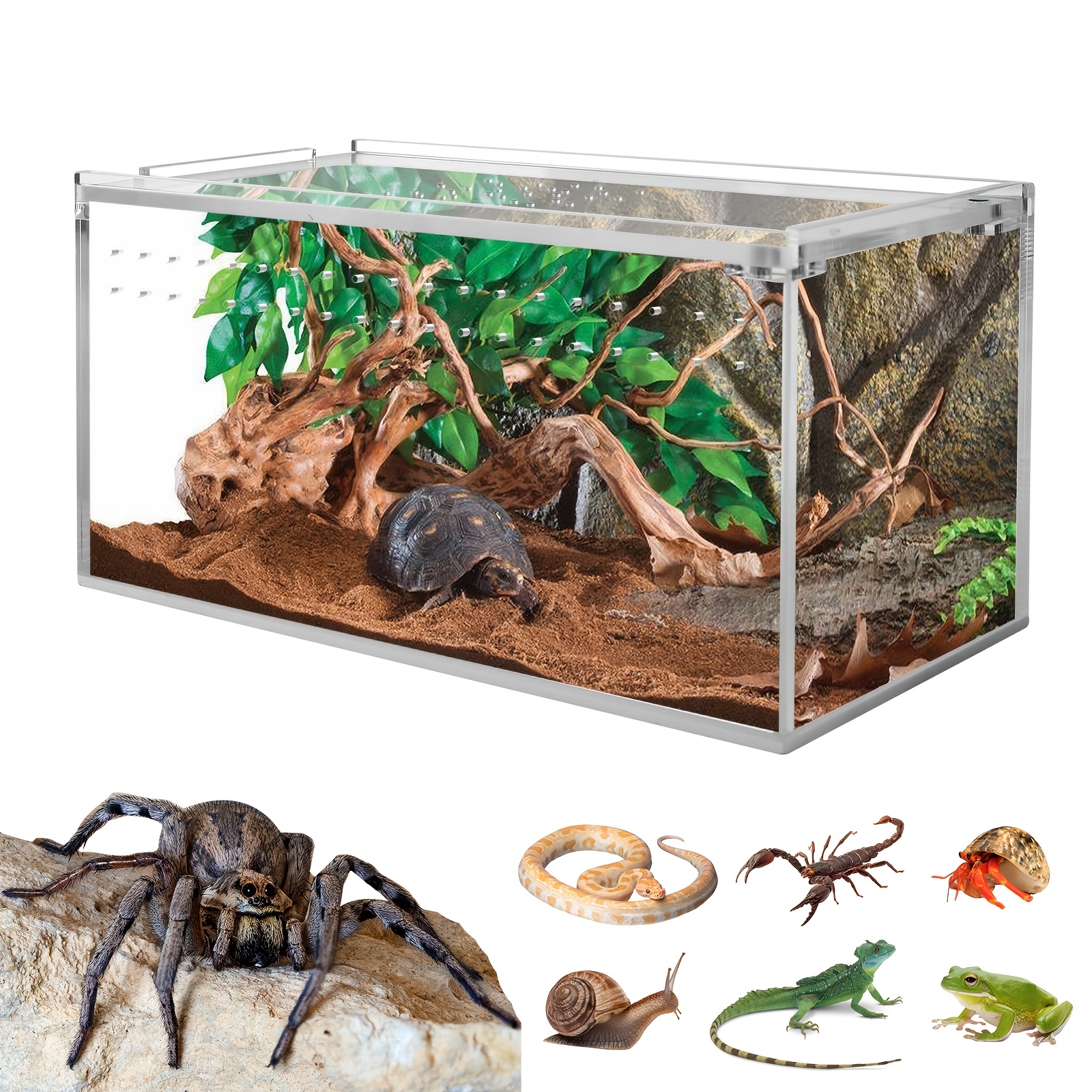 reptile box sold on Temu Australia