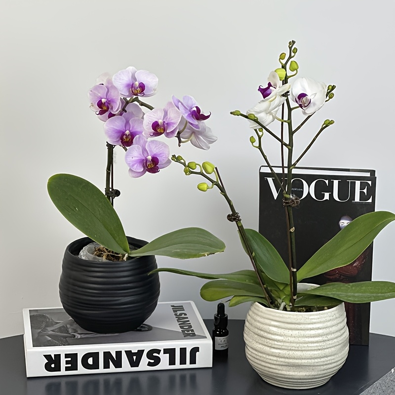 Irregular Pattern Ceramic Flower Pot Ins Style Round Ceramic Pot Green Radish Orchid Flower Indoor Art Decoration Gardening Gift,home Decor