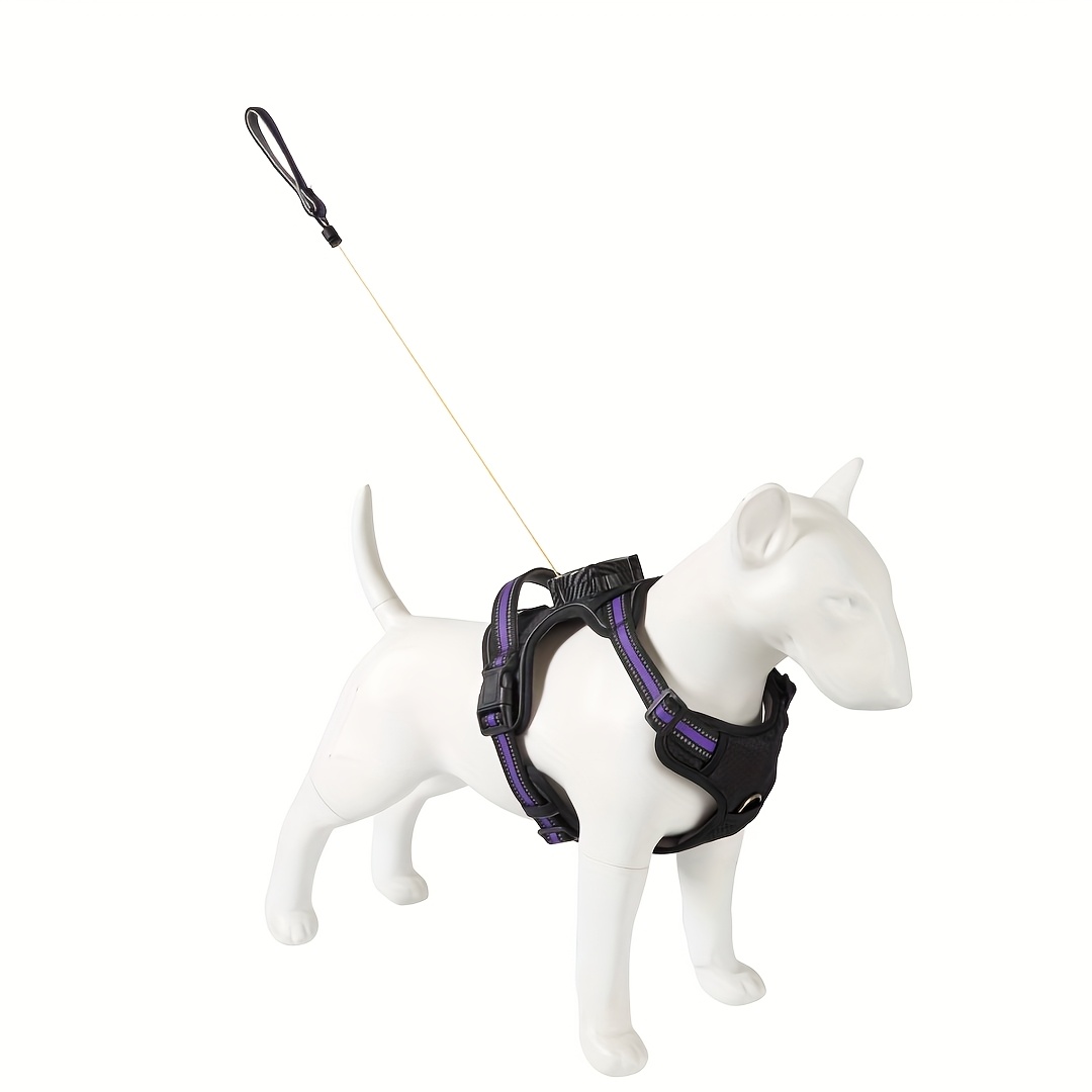 All-in-One Dog Harness, Collar, and Leash Set