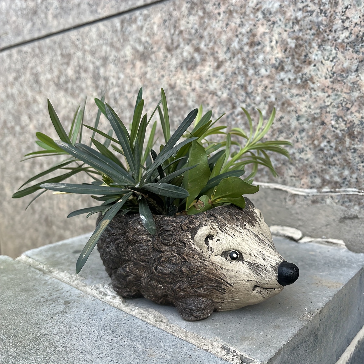 hedgehog resin planter artistic animal succulent - Temu