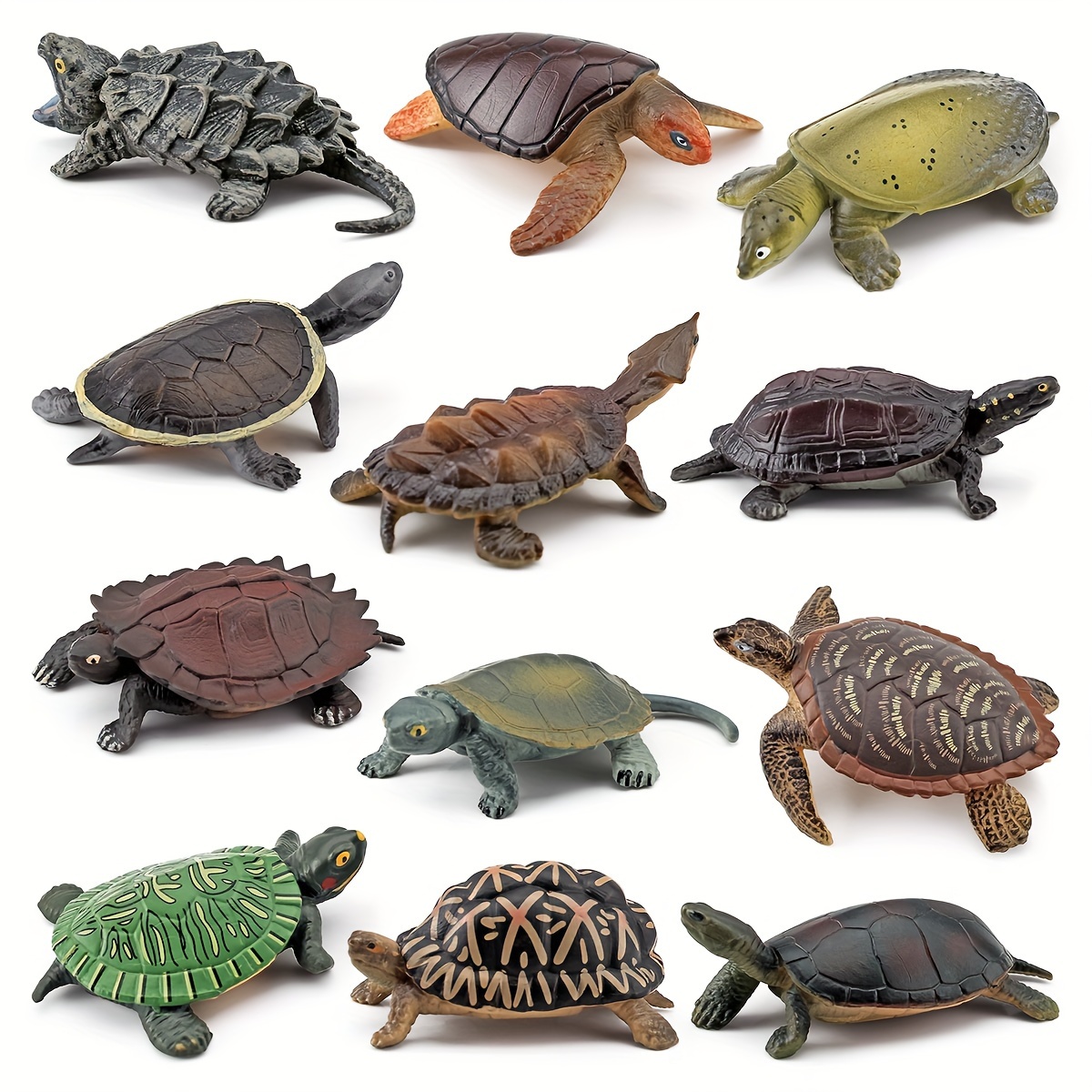 

12pcs Pvc Realistic Turtle And Educational Toy Figures, Great Gift