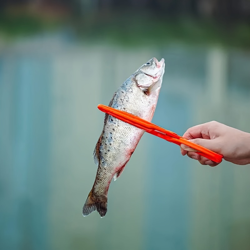 Anti slip Fish Controller Fish Body Gripper Outdoor Fishing - Temu