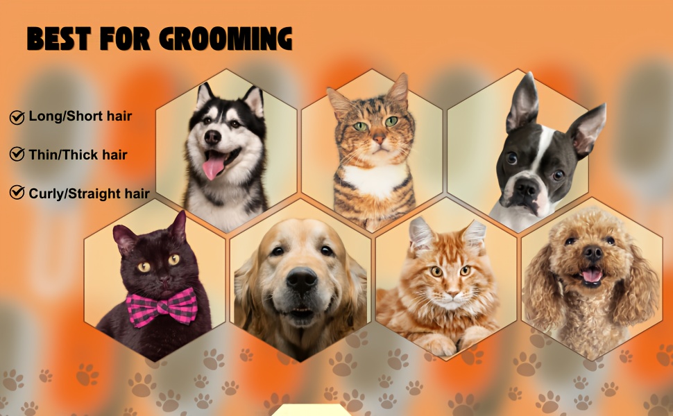 2件套猫用蒸汽刷，可充电式猫狗蒸汽刷，防静电猫用喷雾刷，按摩、清洁、脱毛、梳理，一站式服务！[白色和咖啡色] 商品详情 0