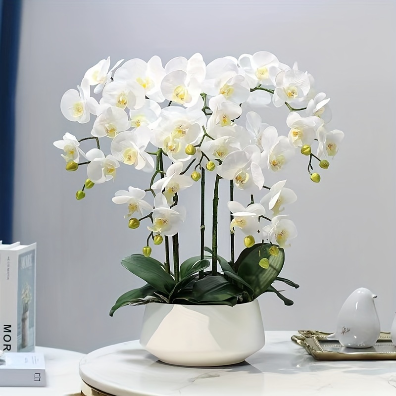 

1pc, Real Touch Artificial Orchid Stem, Lifelike Phalaenopsis Faux Flower, Home Office Table Centerpiece, Wedding Birthday Party Decor, Elegant Spring Summer Indoor Decor