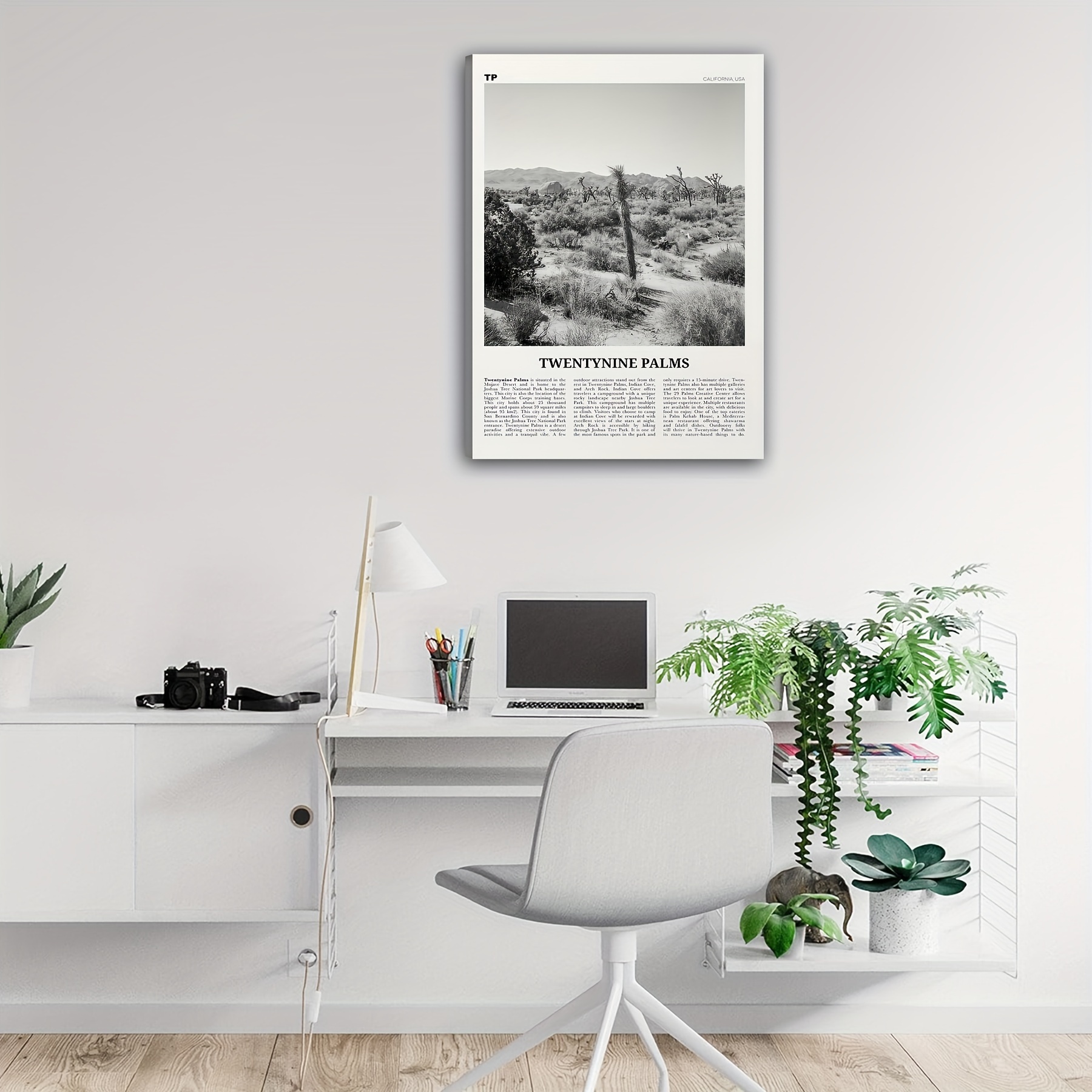 1pc Twentynine Palms Canvas Wall Art Black And White Travel Poster