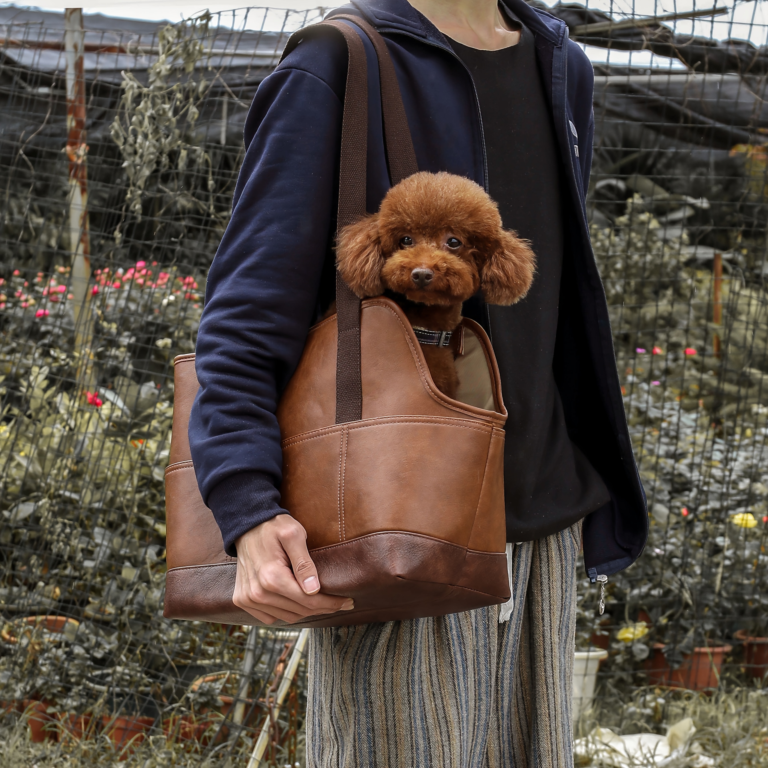 dog carrier airline approved Cyprus