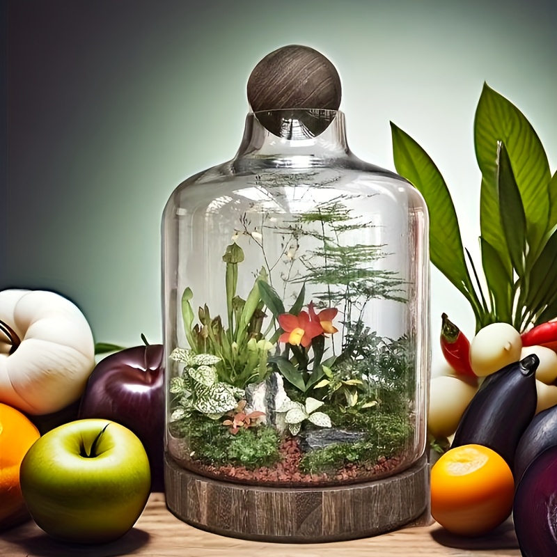 

Japanese-style Ecological Bottle Desktop Micro-landscape Ecological Fish Change Wealth Bottle Hydroponic Bottle