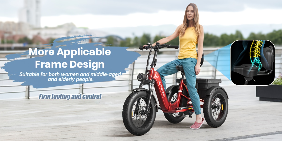 dual battery   with 110   range rear high power brushless motor 48v 15ah 18ah removable battery 500lb load capacity 20 tires and large basket suitable for fishing traveling essential for elderly travel   plus Product details 7