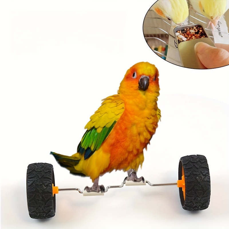 Stainless Steel Parrot Balance Bike Interactive Skill Training Toy for Small to Medium Birds