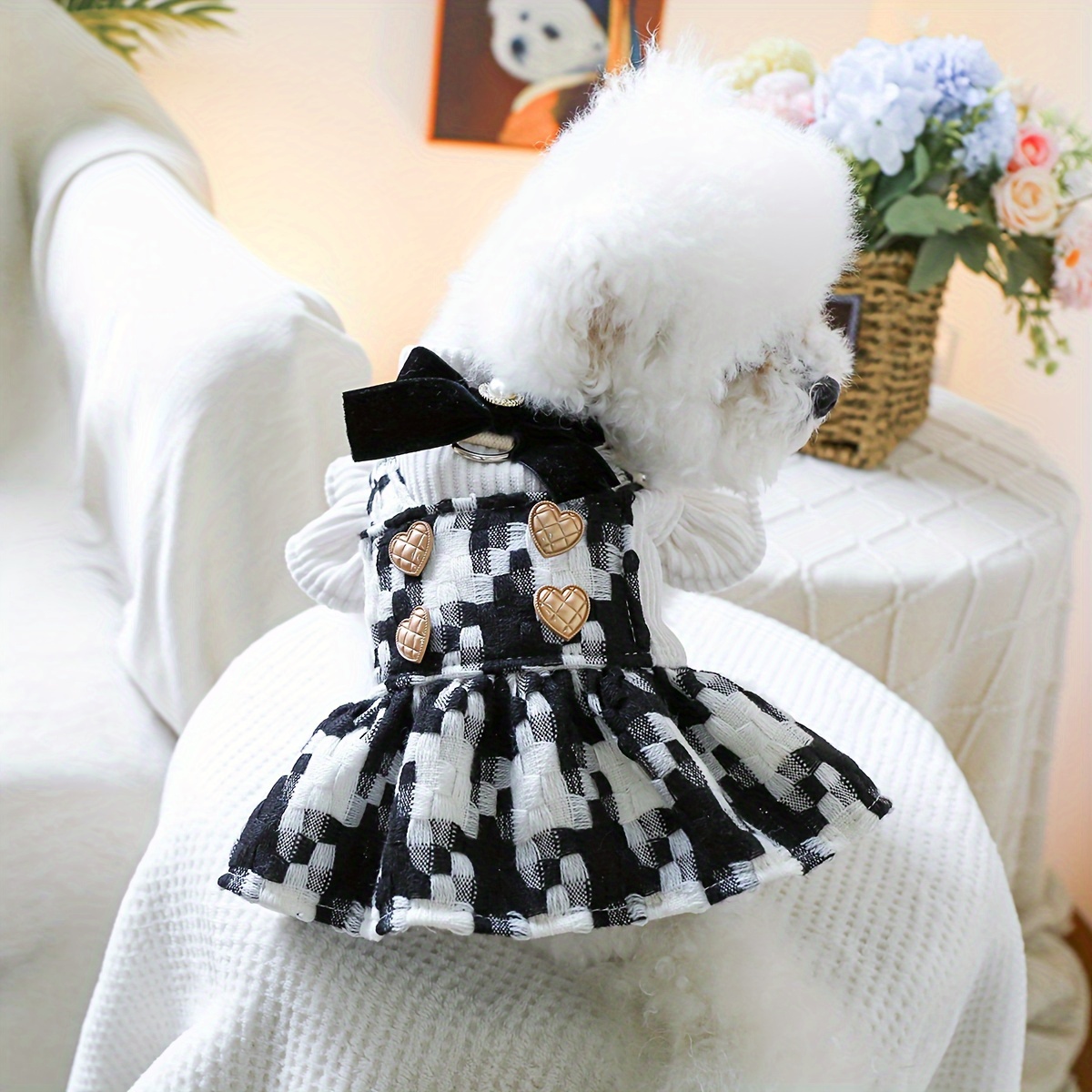 

For Small : , , And Fall , , Suitable For , Bichons, , And