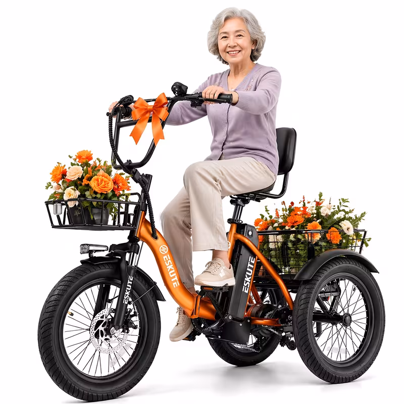 gifts festivals e three wheeled electric bicycle folding 18x3 0 wide tires long range 624wh battery Product details 1