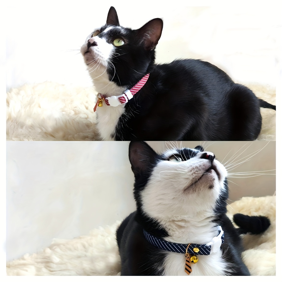 stripe cat collar lightweight cute adjustable cat collar with tie pendant suitable for wedding party decoration elegant style cat and kitten collar Product details 1