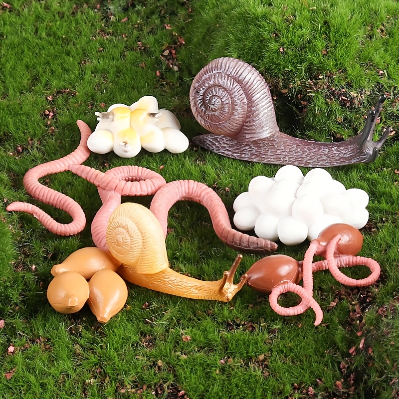8pcs Snail & Earthworm Life Cycle Figurines Toy Set - Educational Project Birthd