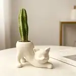 独特无尾猫小花盆,可爱小猫多肉室内花盆,动物家居装饰植物盆托,新奇盆景花盆理想赠礼,可爱办公桌房间家居装饰