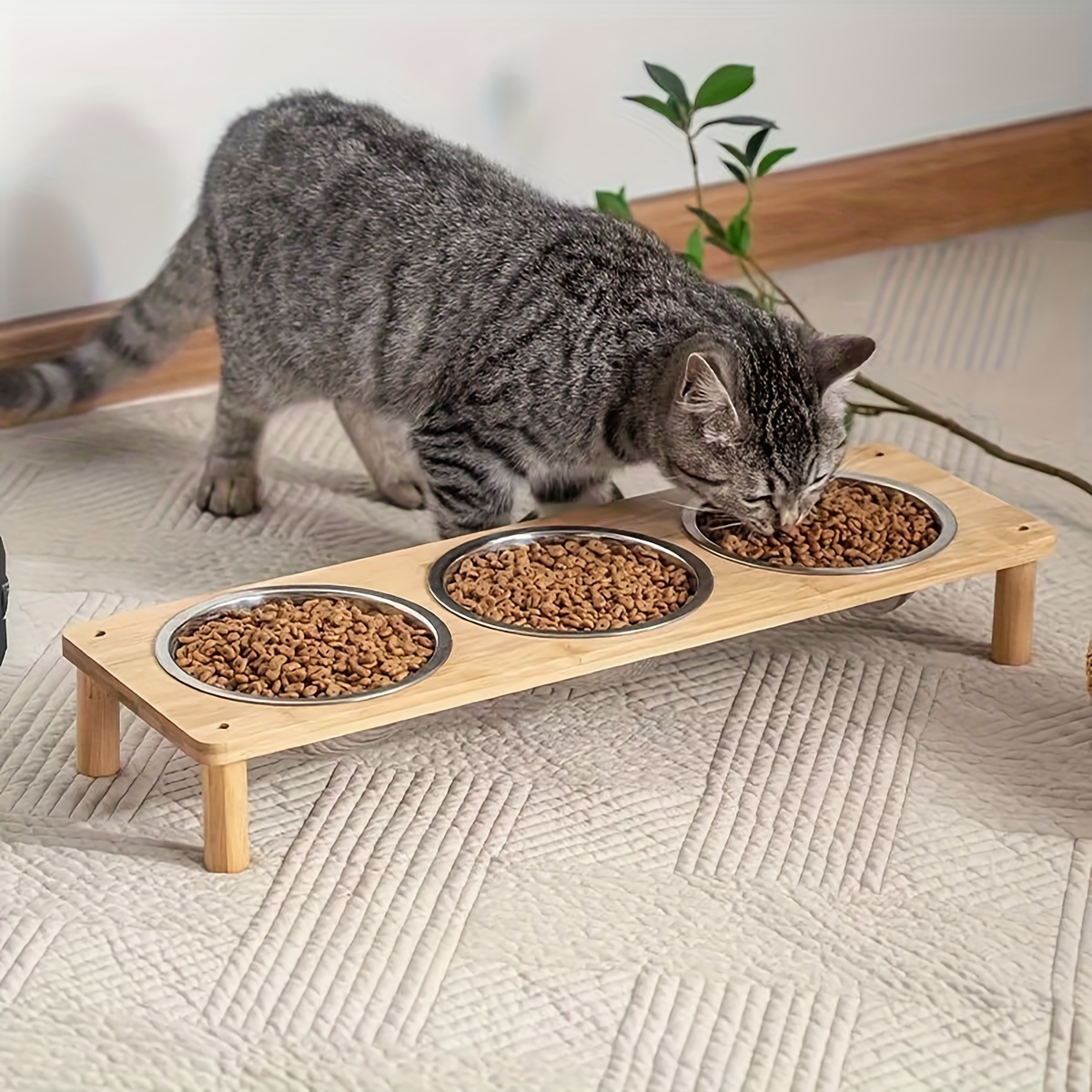 

2-bowl Stainless Steel Cat , Non-tip Pet Dish, Stand, Cat Feeding & Drinking Accessories,