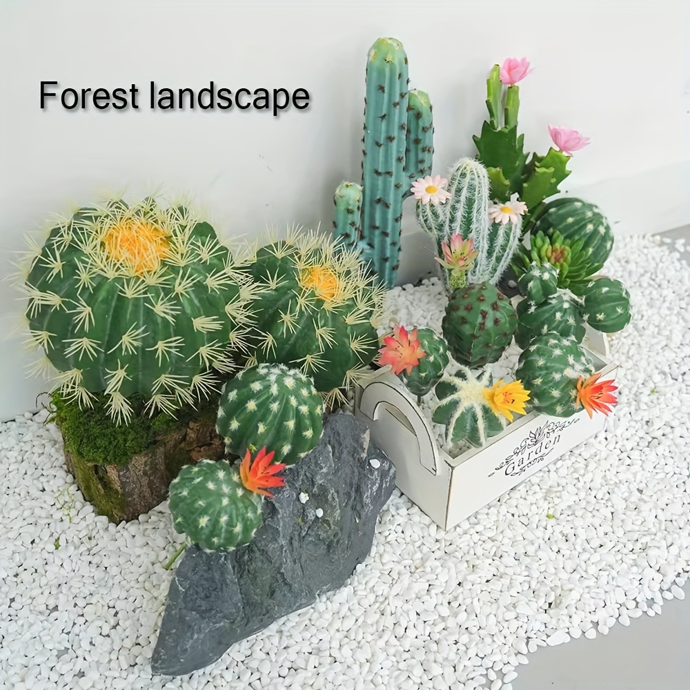 mammillaria duwei Mammillaria duwei Cluster main image 0
