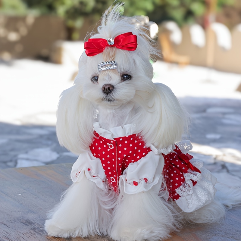 Laxury Dog Dress Blessing Babies【Bliss】 Dog Dress Summer Pet