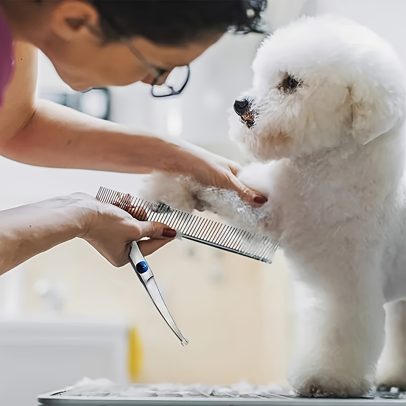 Box dog online haircut