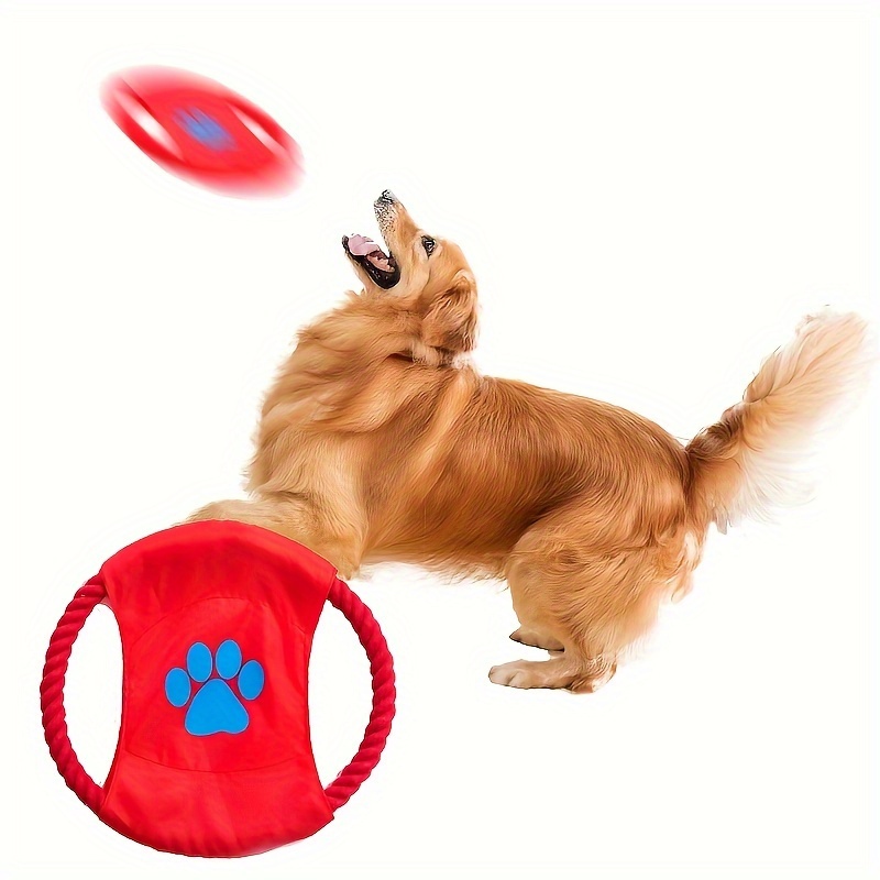 

Interactive Toy - - - Of 1 (assorted )