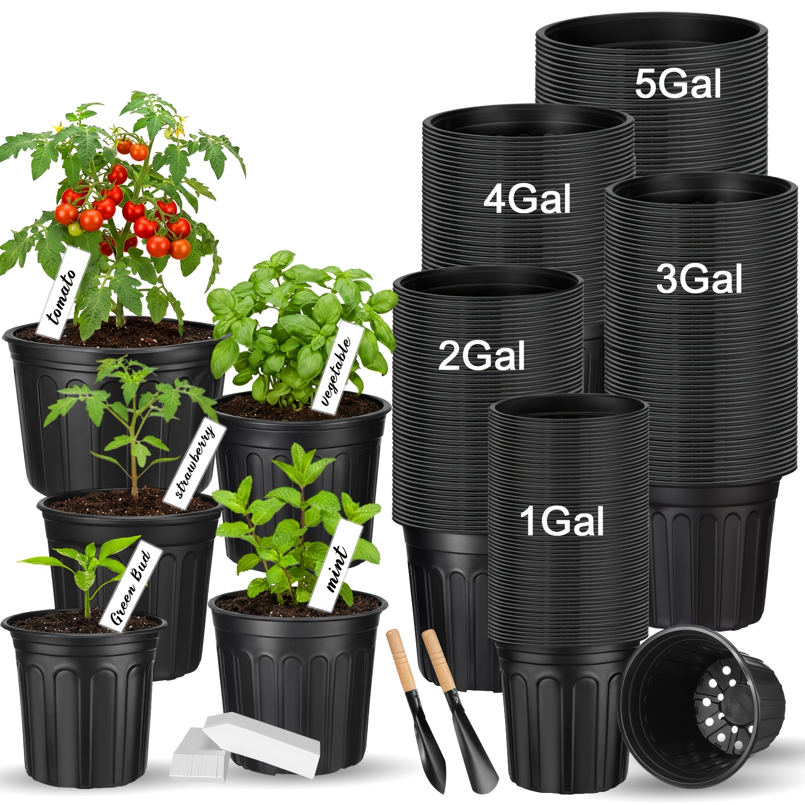 gallon pots sold on Temu United States