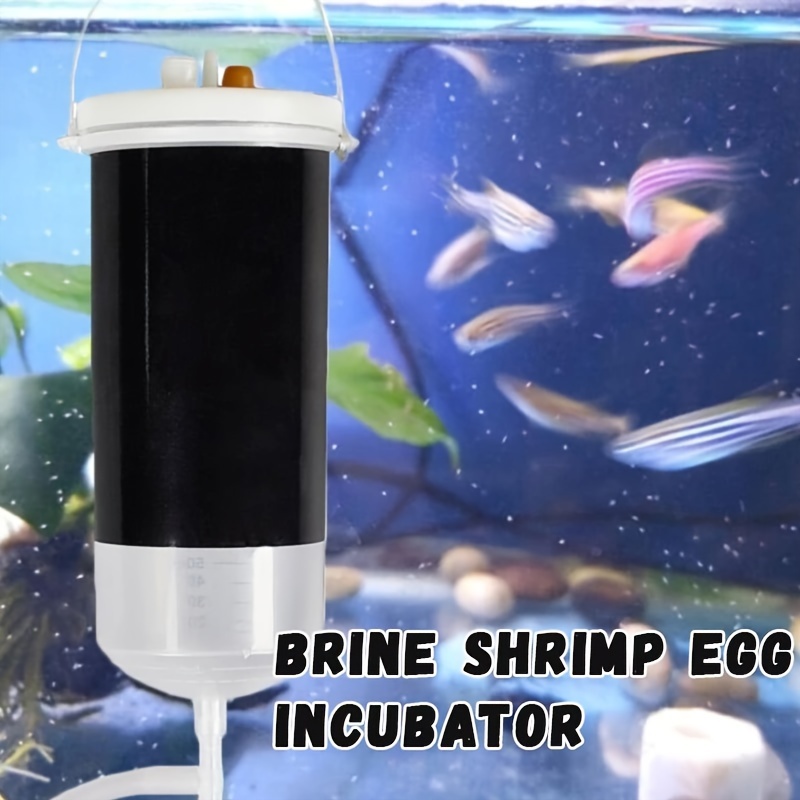 

Easy-to-use Shrimp - Aquarium Tool, No Battery Required