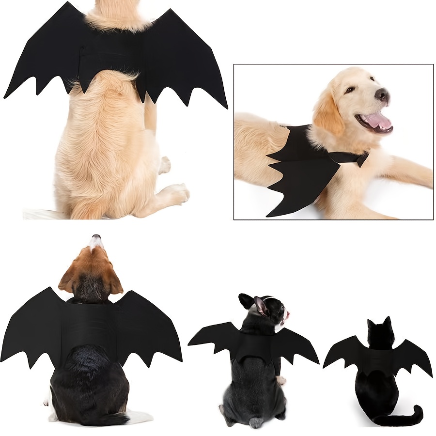 Katze Halloween Kostüm Fledermaus Flügel – Haustier Verkleidung Für Kleine Hunde, Welpen & Kätzchen (schwarz, Verstellbar)