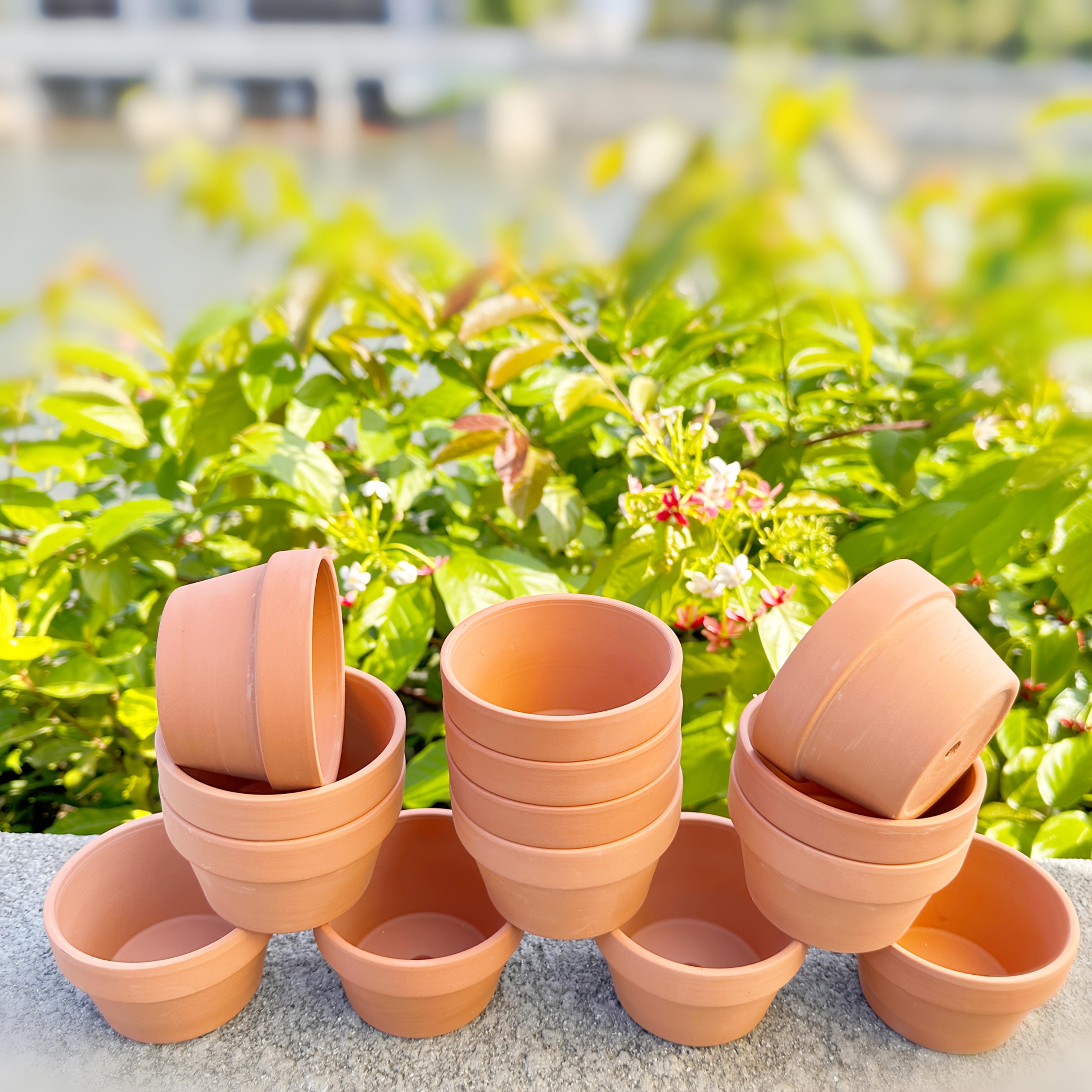 14pcs set 3 5 shallow terracotta pots unglazed breathable - Temu