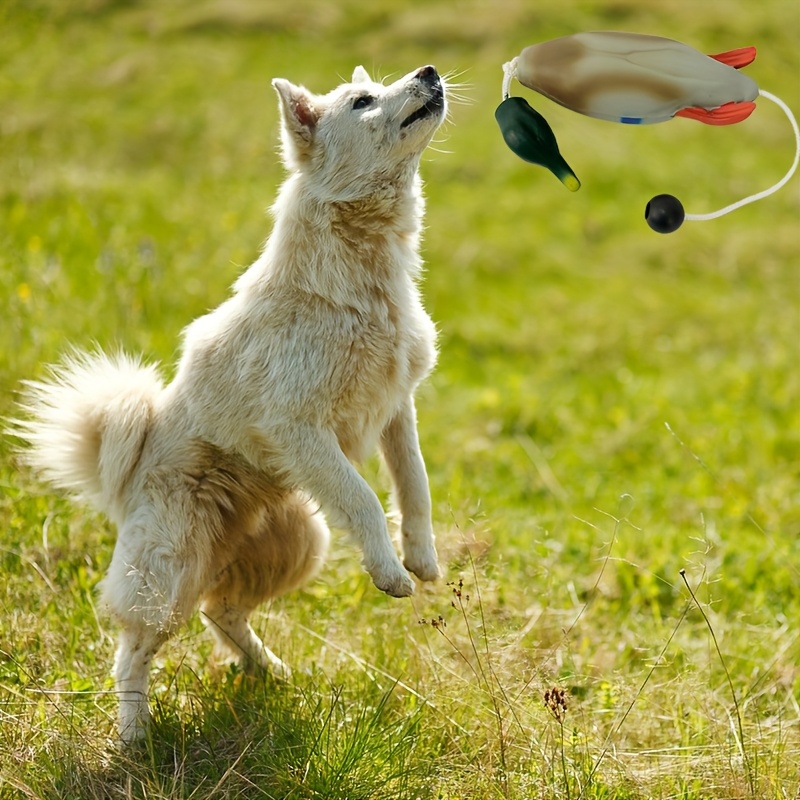 Dog Training High-fidelity Pu Footed Duck Toy For Fetching And Retrieving, Without Battery