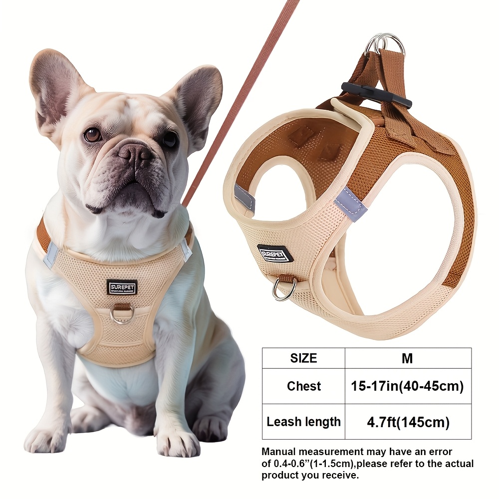 E-shop Hundegeschirr und Leinen Set, Allwetter-Mesh, Hundegeschirr, Geeignet für Spaziergänge, Joggen, Training, für kleine Hunde