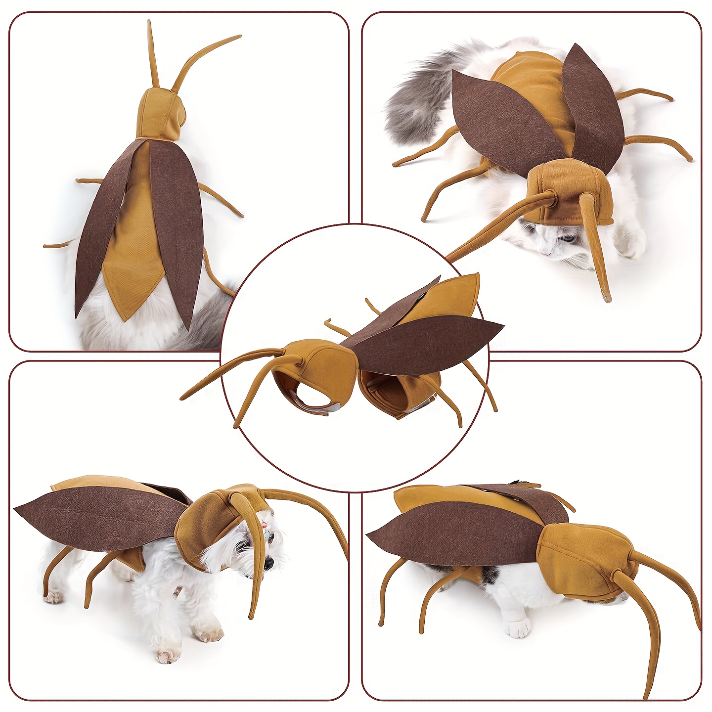 Cockroach Costume for Dogs & Cats
