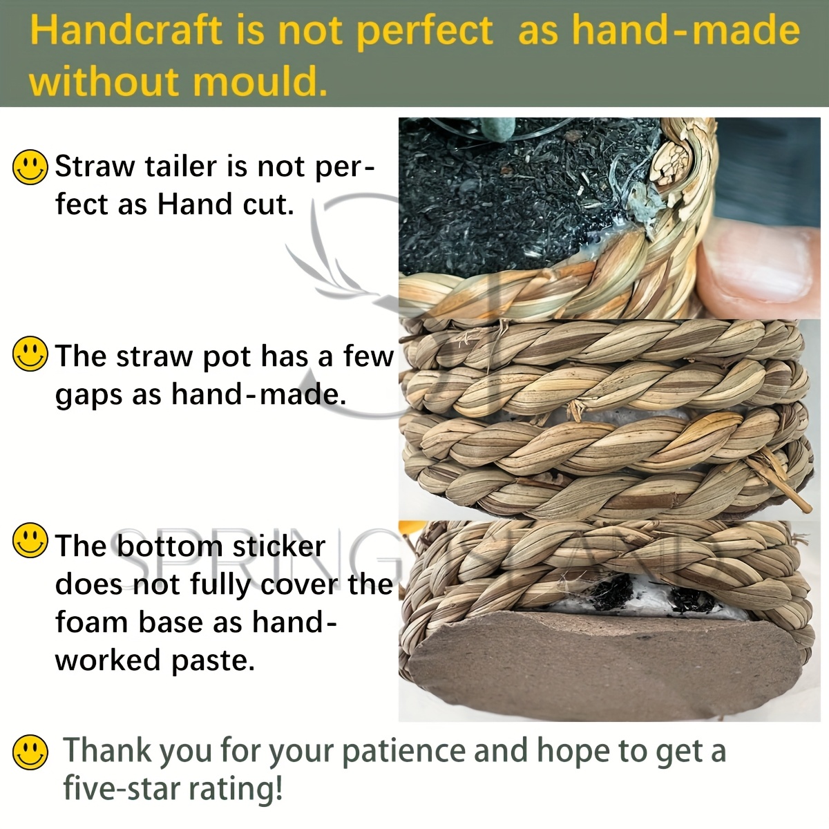 3 piezas/set Planta Artificial de Helecho de Ratán con Bola de Hierba, Planta Tropical Simulada con Maceta, Orquídea de Bambú Colgante con Vena Blanca, Decoración de Peperomia, Zebrina, Inchplant, Peperomia, Fittonia, Verde, Material PE, Fibra de Poliéster, Venta al por Mayor, Flor Artificial