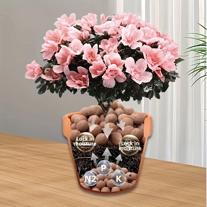 atmungsaktive tonperlen aquarienpflanzen sukkulenten bonsai - Temu Germany