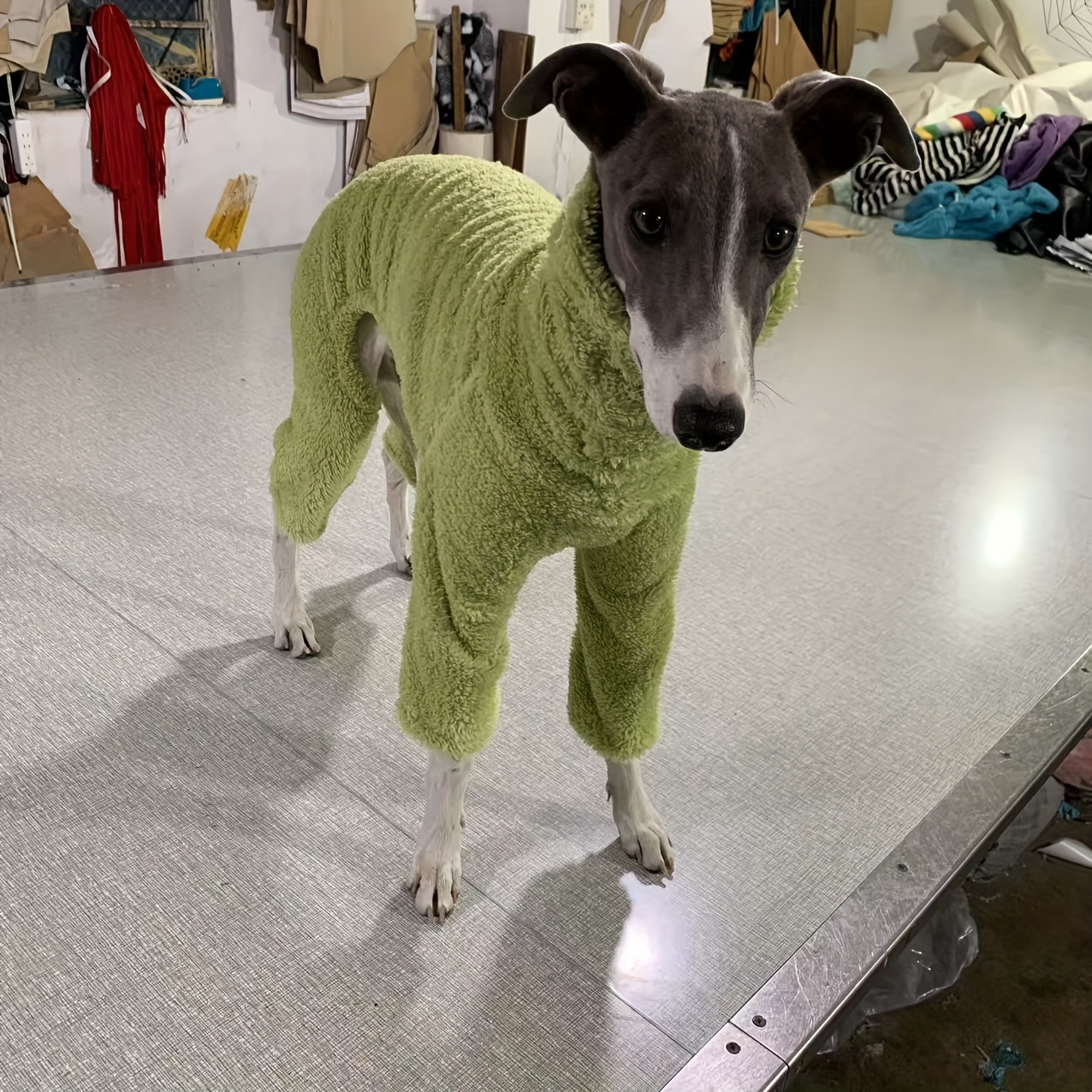 TEMU Ropa de invierno gruesa para perros, bufanda de cuello , de moda, teñido , estampada, de cara, de patas, y muy elástica, para galgos, whippets y