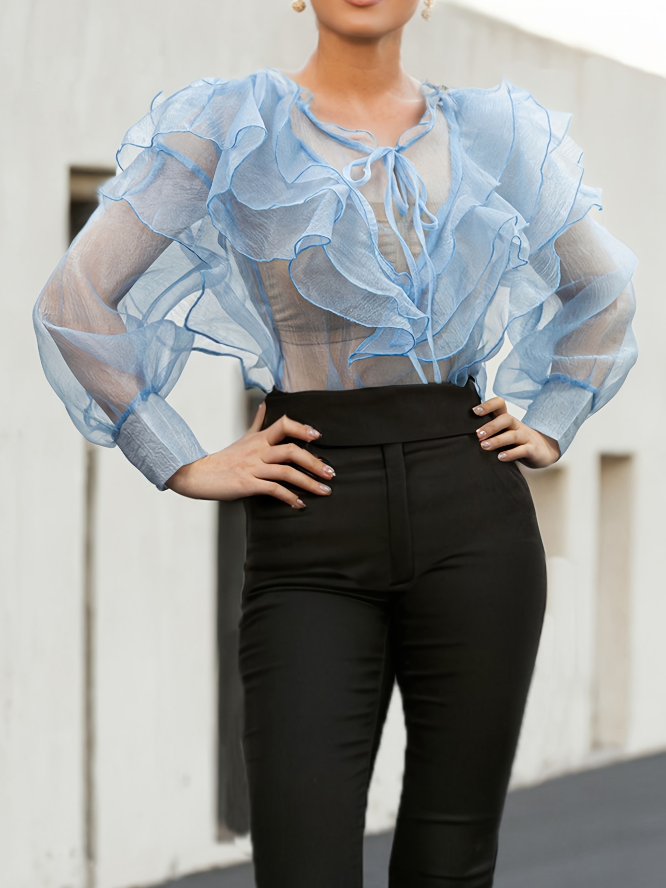 plus size women's elegant sheer puff sleeve blouse multi