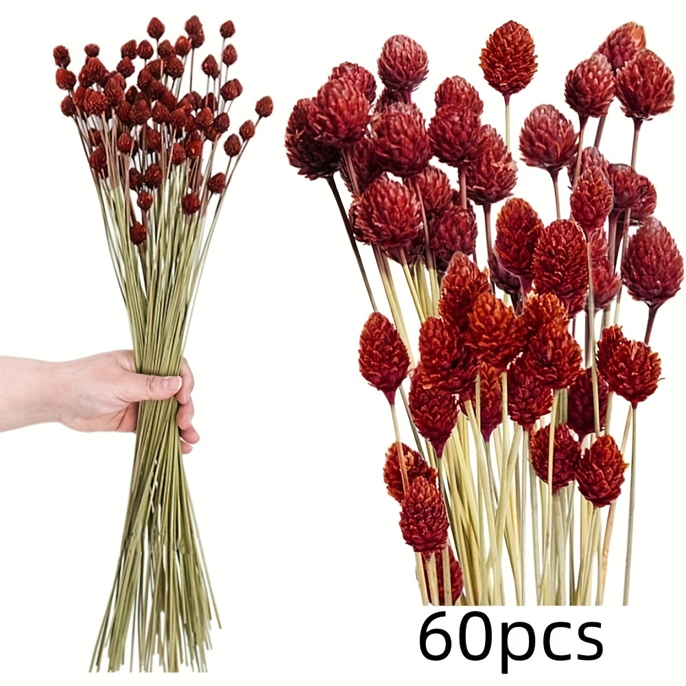 Image of 30/60pcs Of Red Mini Billy Balls, Dried Flowers - Authentic Craspedia Billy Ball Flowers For Wedding Decoration, Bridal Showers, Floral Arrangements, And Home Table Decoration