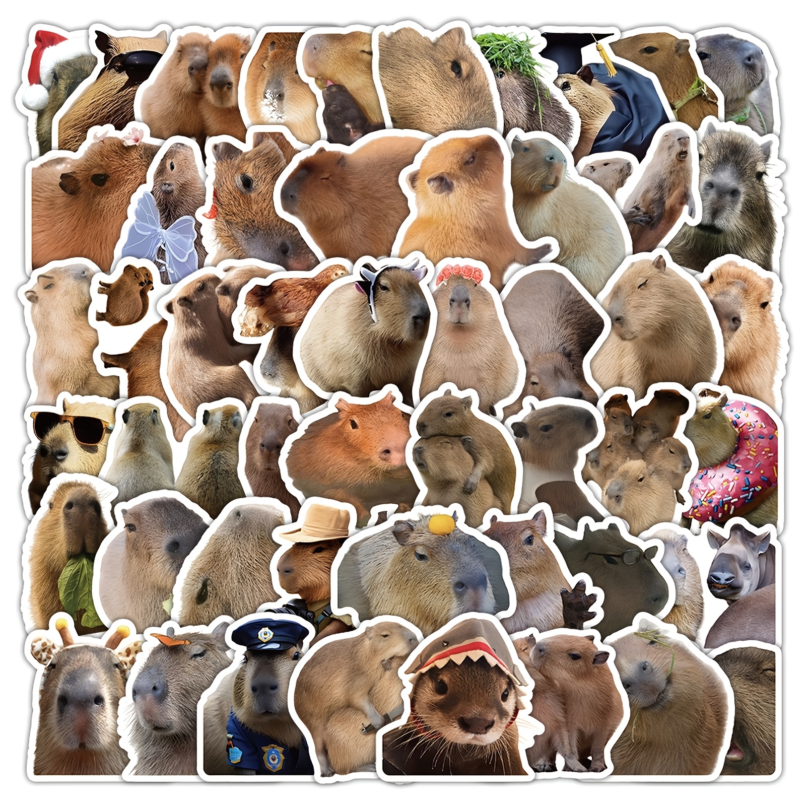 

61pcs Realistic Capybara Stickers, Suitable For , Diaries, Laptops, Car , Skateboards, Water Bottles, Computers, Mobile Phones, Etc.