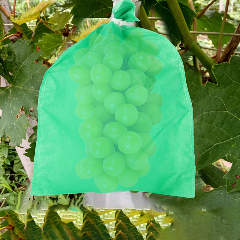 borsa frutta in rete traspirante uva e Temu Italy