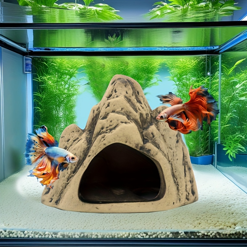 Aquascaping With Fish Hiding Areas: Ultimate Guide for Vibrant Tanks