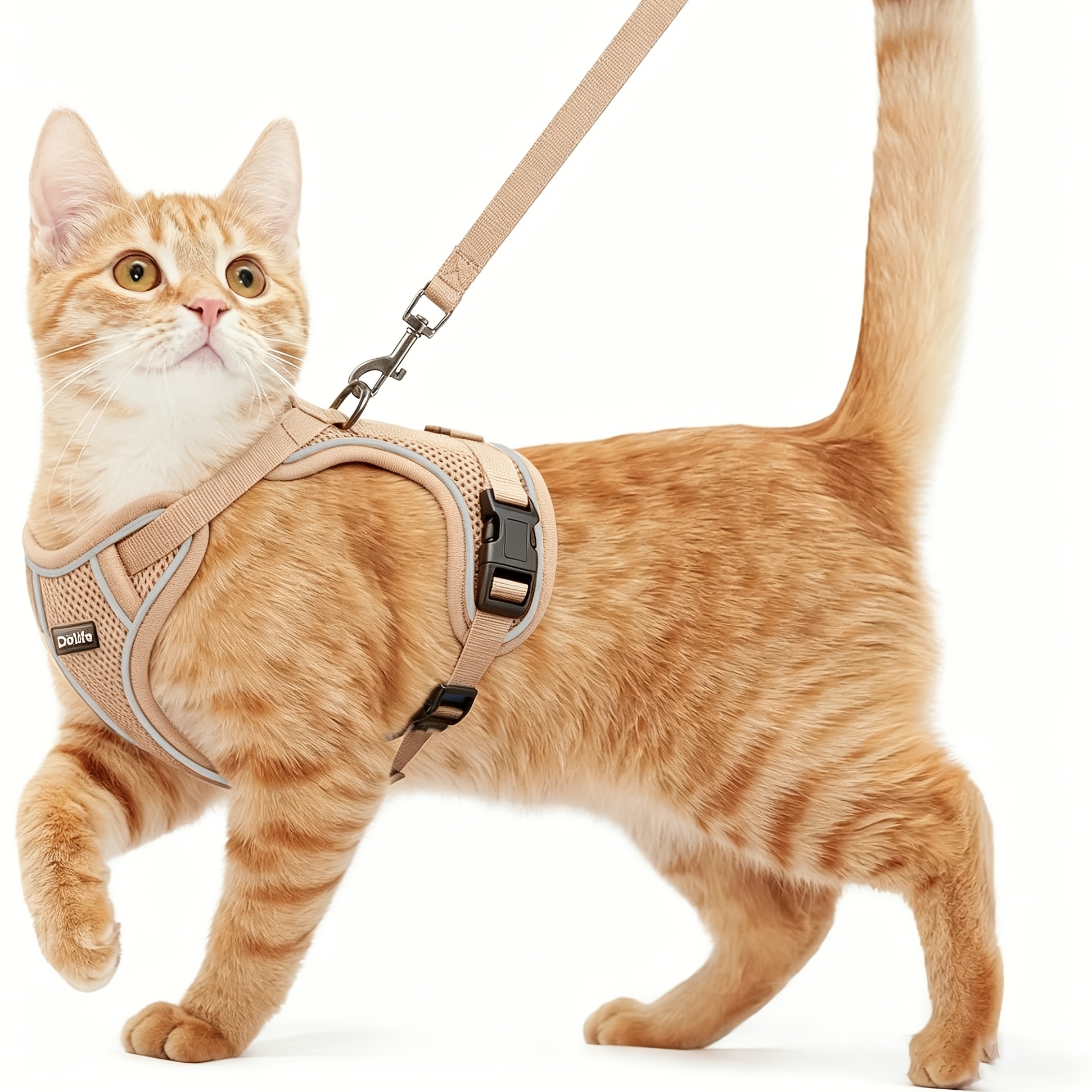 TEMU Set guinzaglio e pettorina per , -, cintura morbida e regolabile, gilet traspirante e confortevole, facile da indossare, per gattini per viaggi