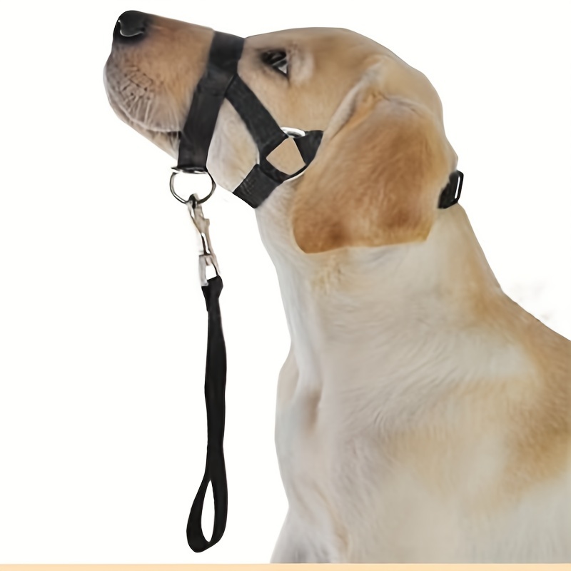 Nose hotsell ring leash