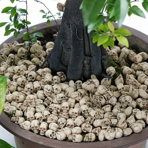 30/50/100pcs Random Statue, Skull Miniature Figurines Random Pattern, Gardens, Lawns, And Gardening Sculptures, Statues, Outdoor Decorations, Outdoor Statues, Cute Garden Decor , Plant Pot Additions, Halloween Decoration Gift