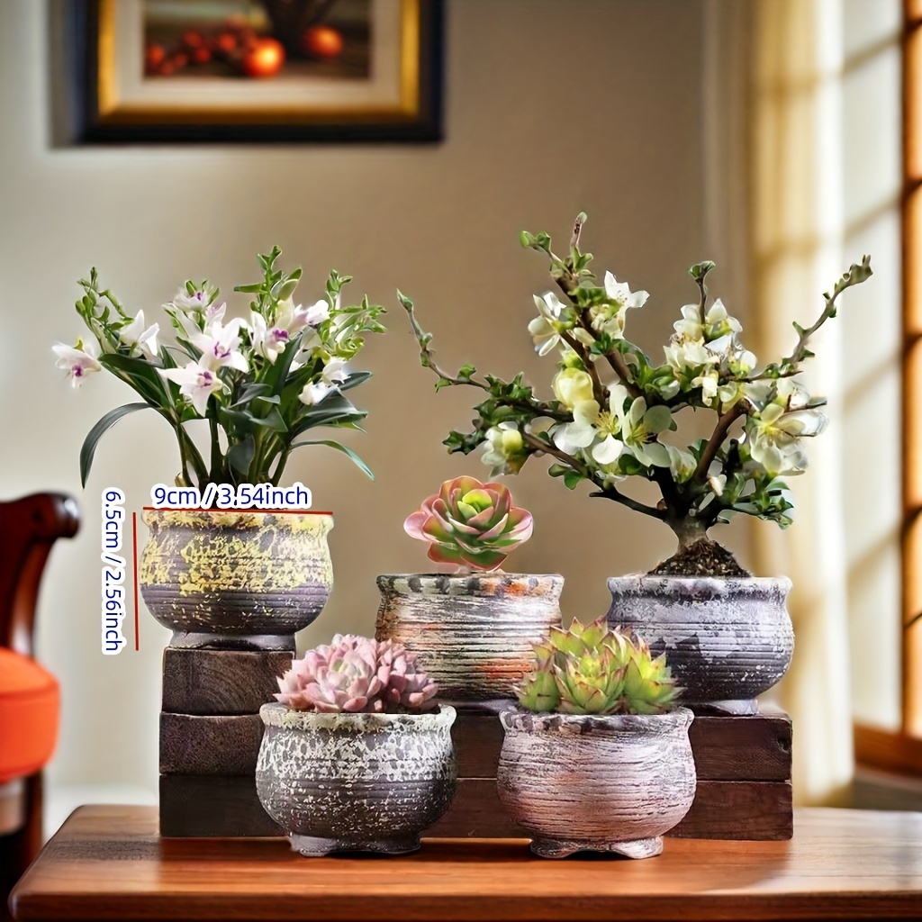 Set di 5 vasi in ceramica per piante grasse in stile bohémien, design retrò * * * per soggiorno, davanzale, balcone o scrivania, contenitori per piccole piante grasse * il * verde