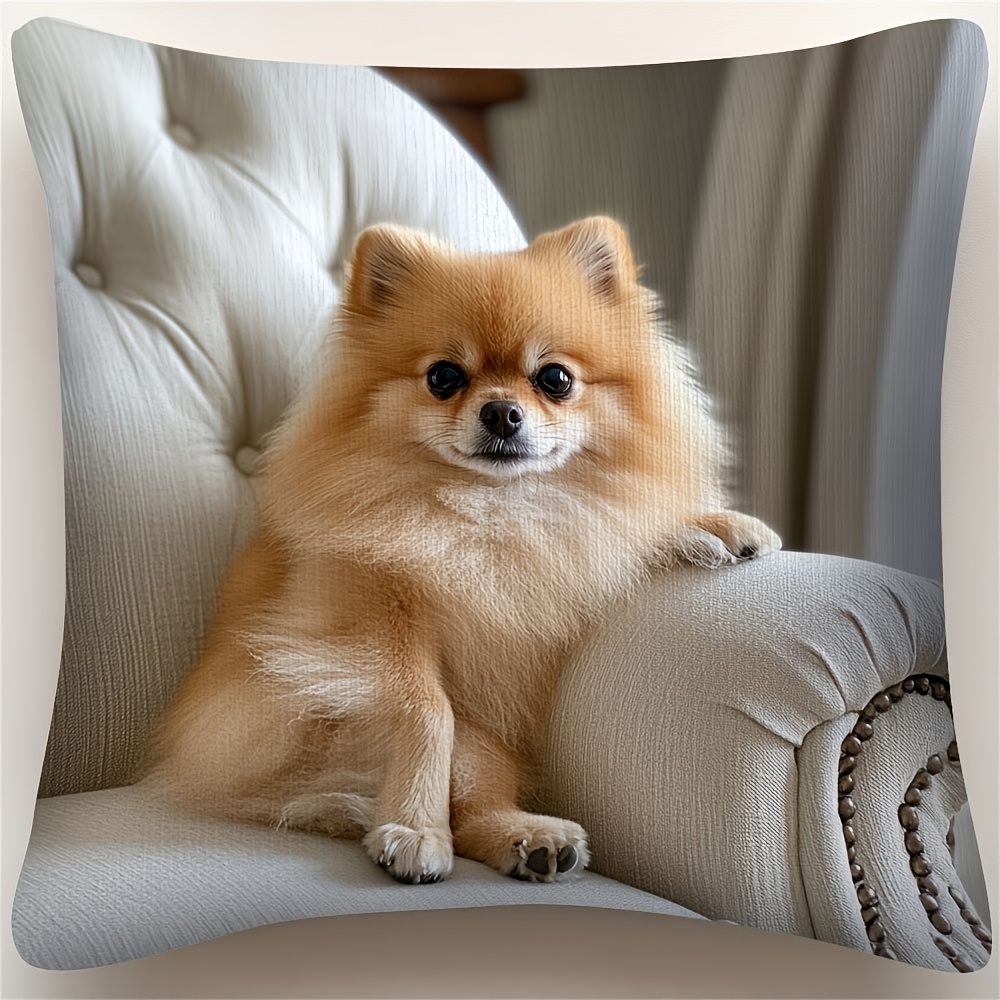 TEMU 1 Coussin Rétro Chien Pomeranian - Étui Chiot Pomeranian Réaliste avec Fermeture Éclair, Impression Simple Face, Texture Courte en Microfibre