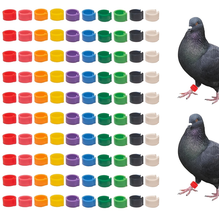 E-shop 100 Stück bunte Taubenbeinringe – Langlebige Kunststoff-Geflügel-Fußbänder Beinringe für Tauben, kleine Vögel, Küken, Entenküken, Gänschen,