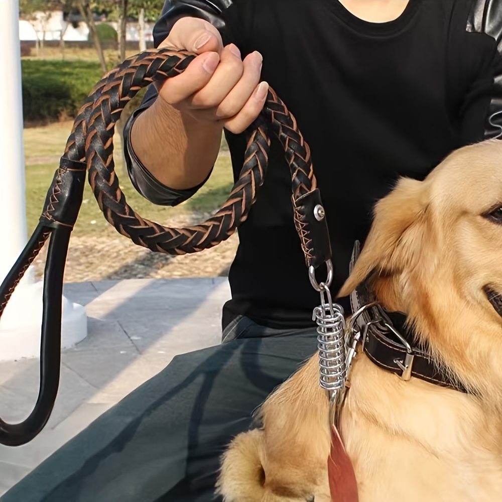 Easter Dog Training Leash for Small to Large Breeds