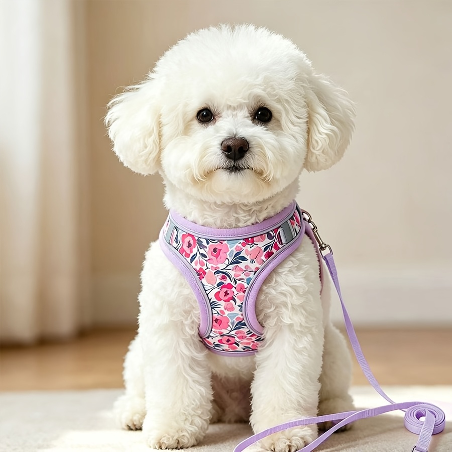 TEMU 소형 반려동물용 조절식 강아지 하네스 및 가죽끈 시스템, 부드러운 메쉬 조끼 포함 - 강아지와 새끼 고양이용 당김 방지 하네스, 개와 고양이용 가죽끈과 호환, 산책 시 당김 방지, 손세탁 가능한 디자인