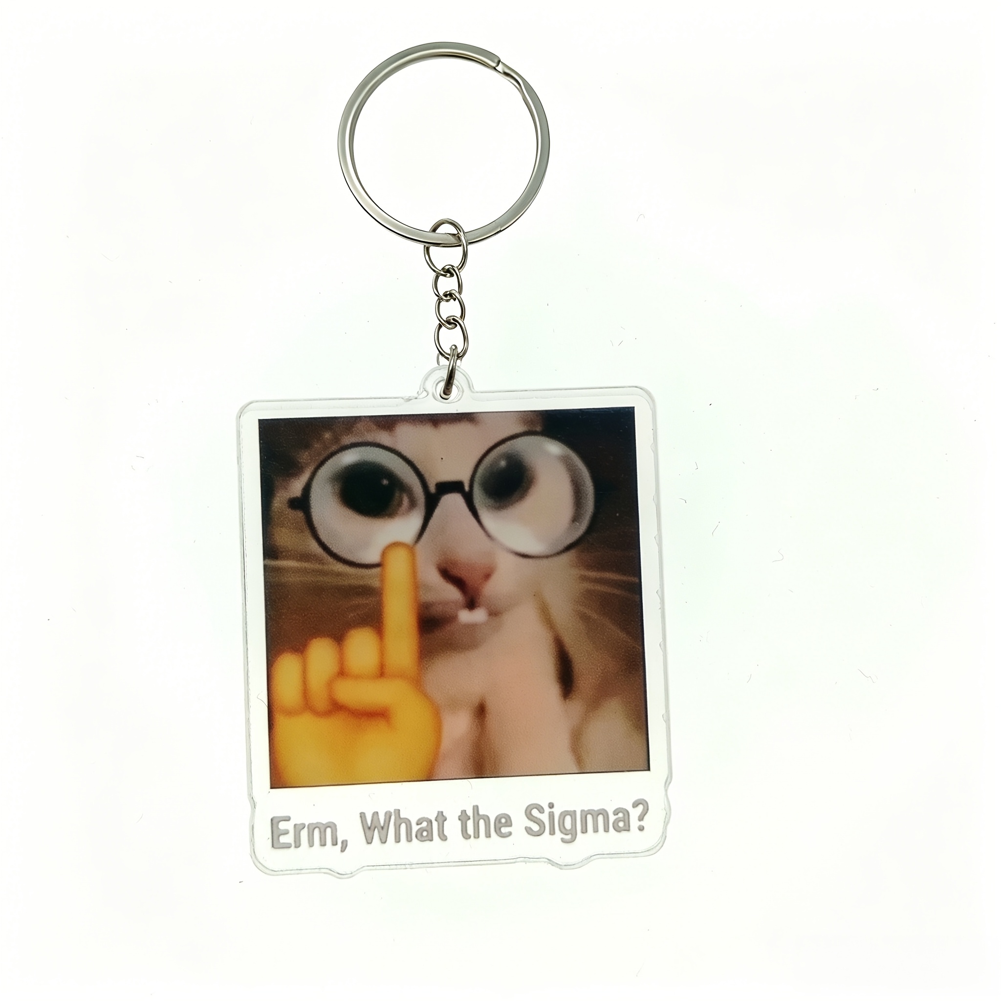 TEMU 2d Flat, 2d Flat Men's Meme, Cat Meme, Goth Style Keychain