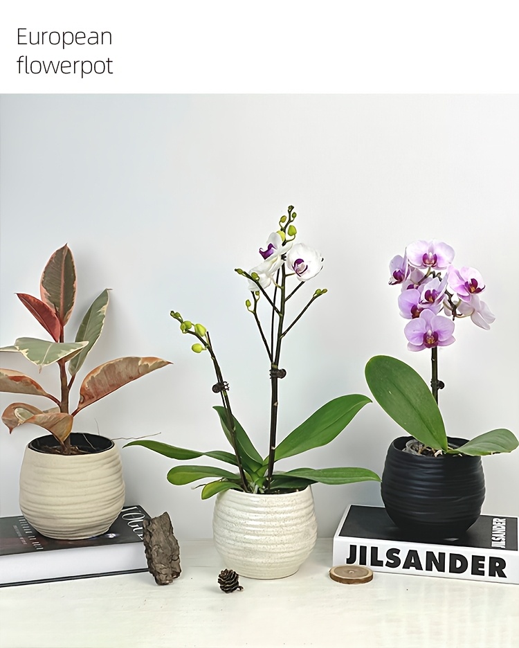 Irregular Pattern Ceramic Flower Pot Ins Style Round Ceramic Pot Green Radish Orchid Flower Indoor Art Decoration Gardening Gift,home Decor