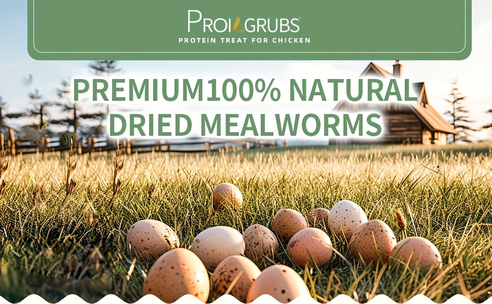 10 lbs High-Protein Mealworms – Ideal for Birds, Ducks, Fish, Turtles. Rich in Protein & Calcium. 5 66a0ddba 483e 4be6 b68f 5a333bc849ae