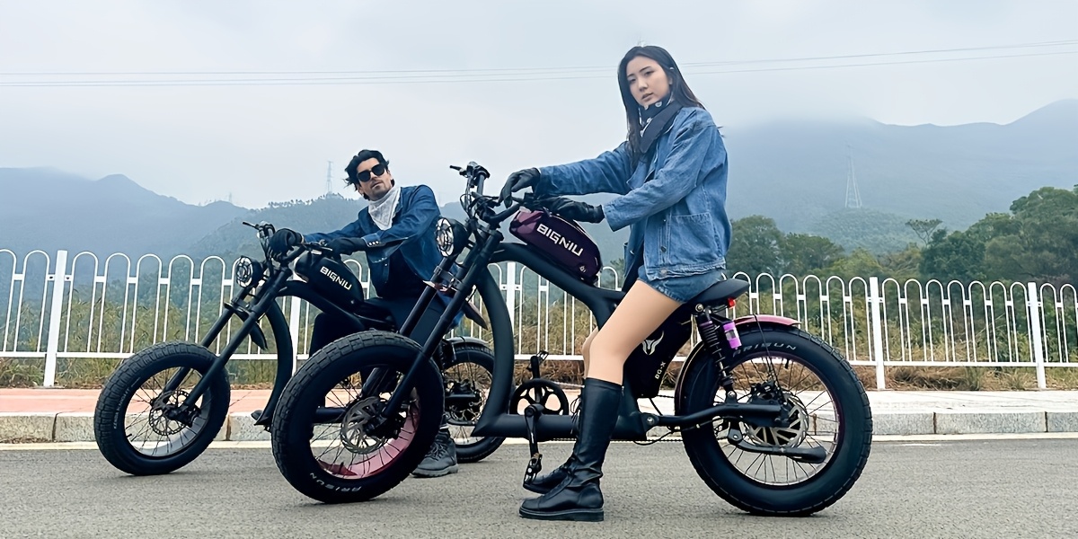 bg x electric bike brushless motor 48v 31 5ah high capacity up to 40 miles dual suspension electric bike ebike front rear turn   Product details 7